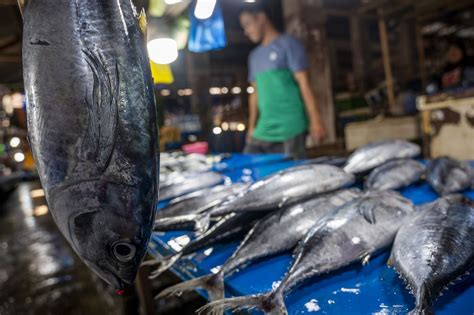 FOTO Pasokan Ikan Laut Berkurang Akibat Cuaca Buruk