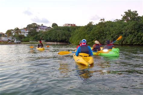 Bioluminescent Kayak Tour in Fajardo, Puerto Rico | Traveling Canucks