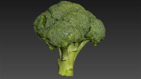 4k Scanned Broccoli 3d Model Cgtrader