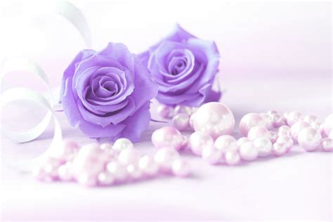 Funeral Background Purple Images Browse 3681 Stock Photos Vectors