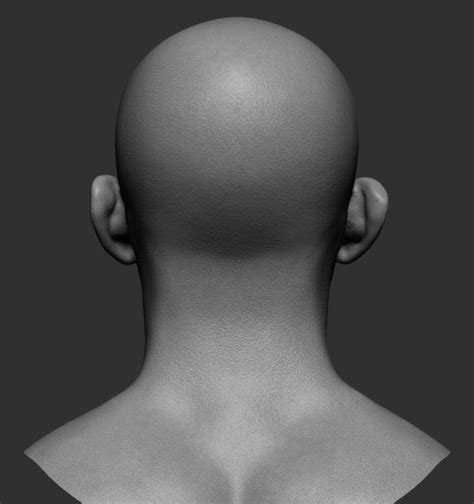 Realistic Male Head 3d Model 47 Obj Ztl Free3d