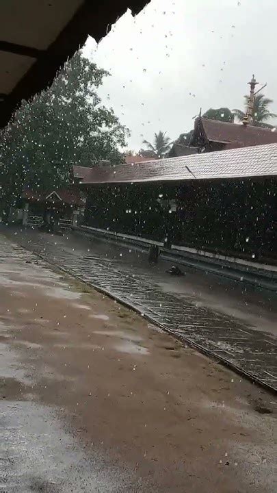 മഴ 🌧️🌧️ Youtube