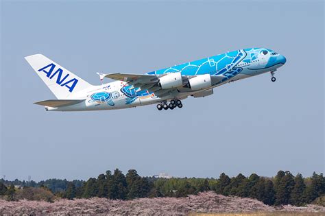 画像 いよいよ明日就航。anaのエアバス A380型機「flying Honu（空飛ぶウミガメ）」関連記事まとめ 1418