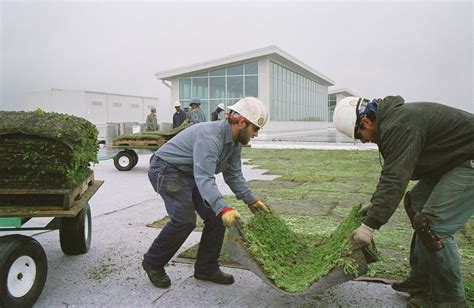 Ford Motor Company's River Rouge Truck Plant - Greenroofs.com