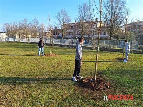 Il Giardino Dei Giusti A Podenzano Mulazzi IlPiacenza