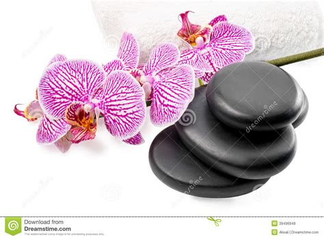 Spa Still Life With Stripped Orchid Black Stones Stock Photo Image