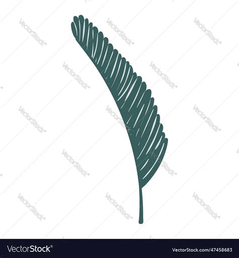 Tropical palm leaf Royalty Free Vector Image - VectorStock