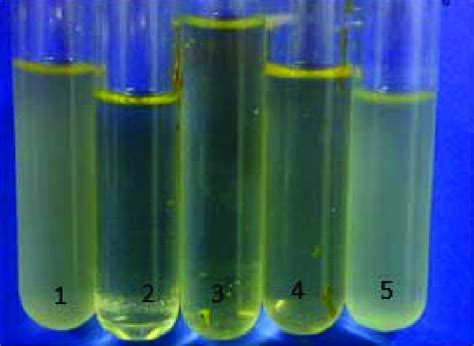 Escherichia Coli Growth In The Presence Different Treatments In The