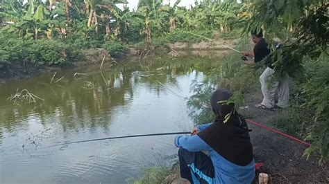 Bersyukur Saya Spot Mancing Lama Bersemi Kembali YouTube