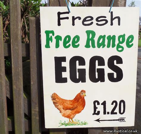 New Eggs For Sale Sign Rustical