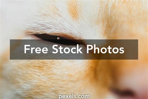 Red Spot Eye Photos, Download The BEST Free Red Spot Eye Stock Photos ...