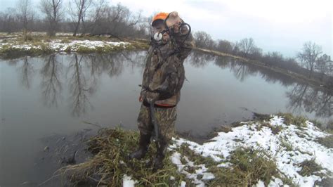 Day 2 Swamp Trapping Muskrats Youtube