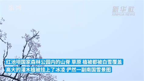 重庆巫溪：红池坝迎来今冬首场降雪凤凰网视频凤凰网