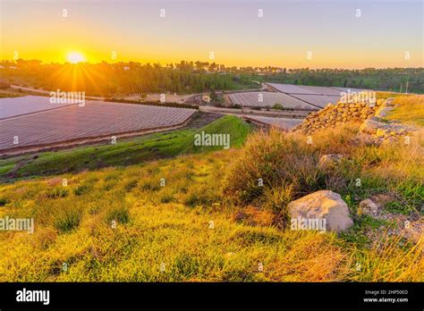 Sunset View Of Ancient Ruins And Countryside In Tel Lachish The