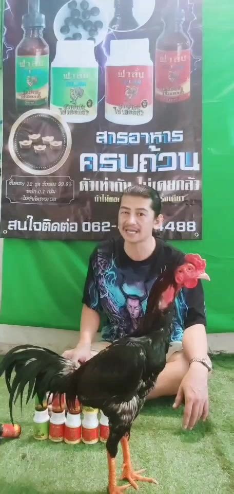 ไก่ คับ ไก่ ตัวเดิม มาเล่า สู่กันฟัง😍 จาก หน้าซีดๆ กินอะไรจะดีขึ้น แบบ ...