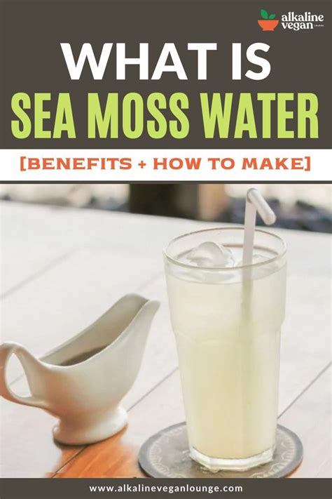 What Is Sea Moss Water Sea Moss Food Health Benefits Kidney Healthy