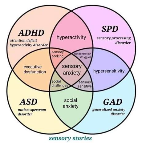 Understanding The Link Between Adhd And Sensory Processing Disorder