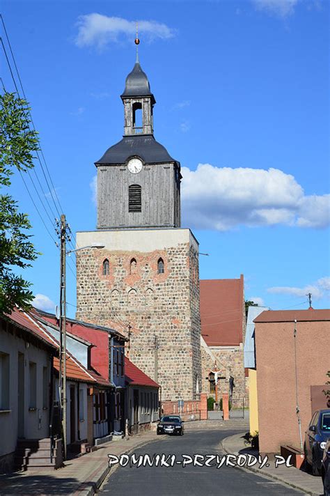 Pomnikowa Robinia Bia A Z Morynia Pow Gryfi Ski Zachodniopomorskie