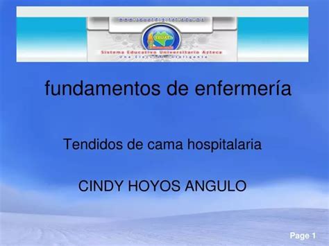 PPT fundamentos de enfermería PowerPoint Presentation free download