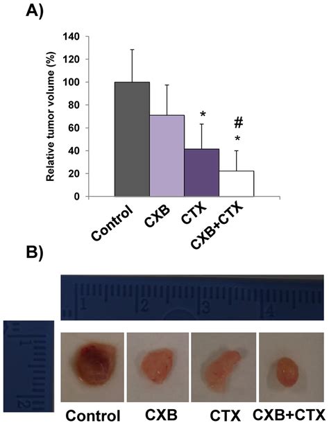 The Combination Of Cetuximab With Celecoxib Improves The Antitumor