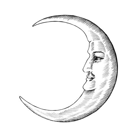 Moon Face Vector At Collection Of Moon Face Vector