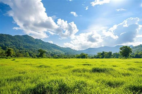 Premium Photo Panorama Landscape View Of Green Grass Field Agent Blue