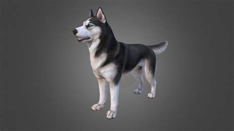 Husky Low Poly 3d Model By Anastasiya Konkina Laddary 67dfb0a