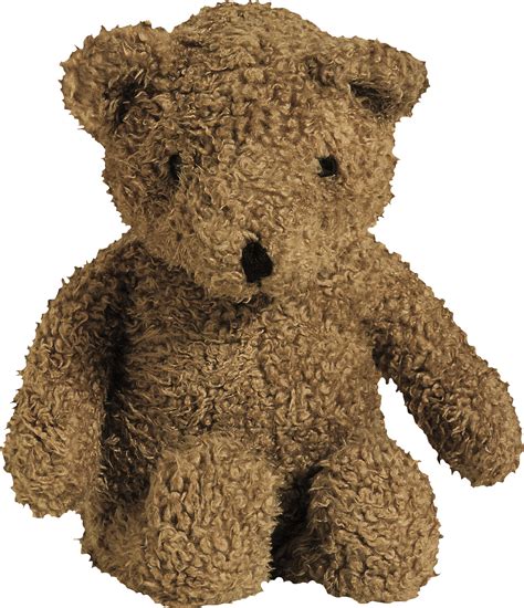 Teddy Bear Png