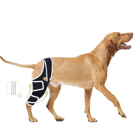 Dog Knee Braces for Back Leg, Hip Dysplasia Dog ACL Brace Hind Leg or