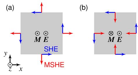 Conventional And Magnetic Spin Hall Effect In Ferromagnets With