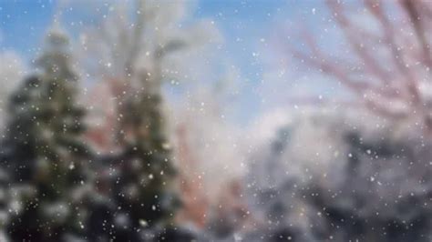 Christmas Snowfall loop photo Animation ... | Stock Video | Pond5