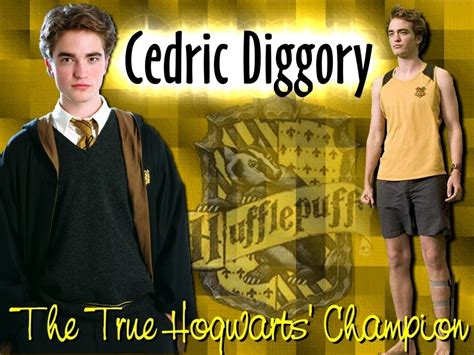 Hufflepuff Hogwarts House Rivalry Photo 17801361 Fanpop