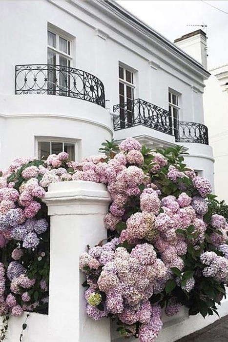 17 Dreamy Hydrangea Gardens That Are Giving Us Major Inspiration