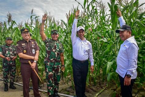 Bantah Food Estate Gunakan Polybag Mentan Amran Saya Minta Coba Tunjukkan