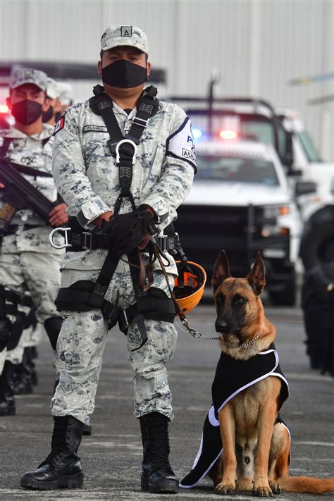 La Progresiva Militarización De La Guardia Nacional Genera Dudas En México