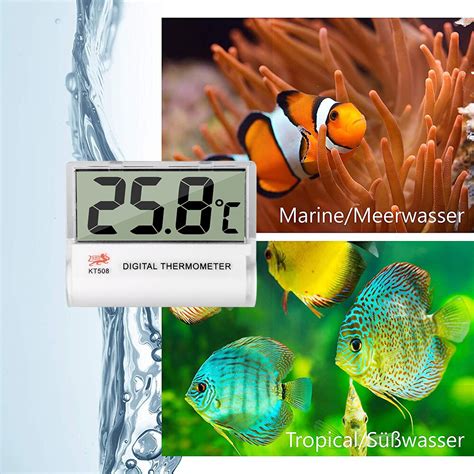 Lcd Digital Fish Tank Aquarium Thermometer Digital Grandado