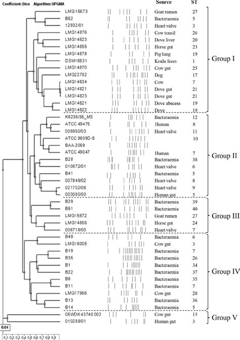 Dendrogram Based On The Dice Coefficient Of The PFGE Patterns The