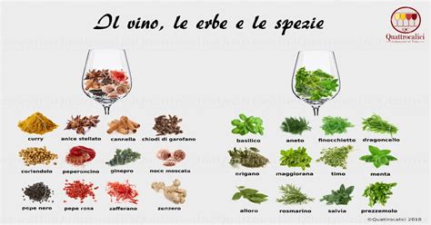 Abbinamento Cibo Vino Quattrocalici