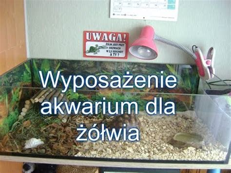 Wyposa Enie Akwarium Wia L Dowego Youtube