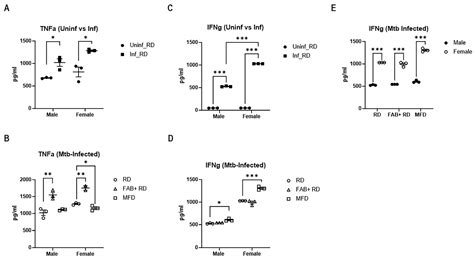 Ijms Free Full Text The Influence Of Body Fat Dynamics On Pulmonary