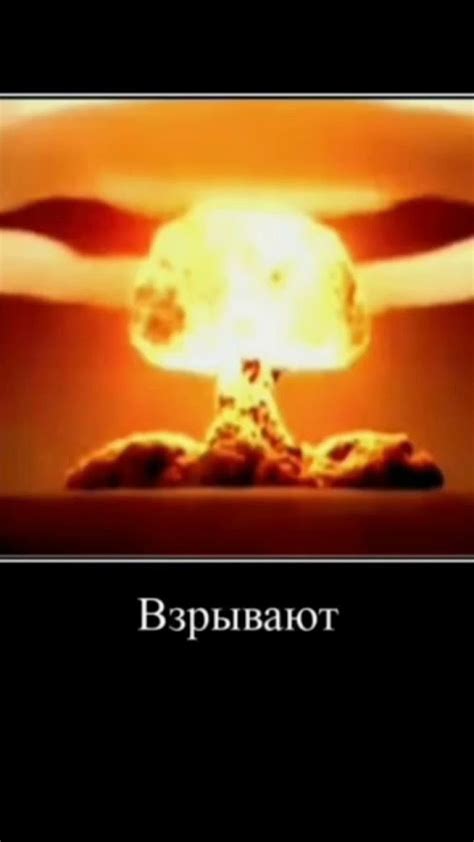 😢ЖАЛКО ПОРОСЯТ😢 #приколы #прикол #мемы #мем - YouTube