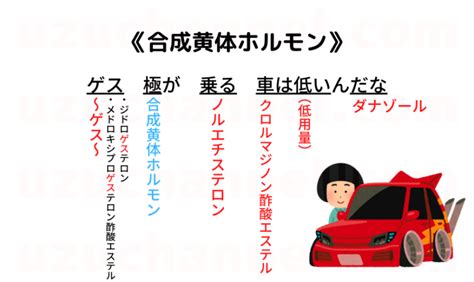 【ゴロ】合成黄体ホルモン ゴロナビ〜薬剤師国家試験に勝つ〜