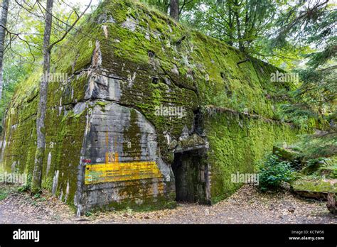 Wolfschanze Wolfs Lair Wolfs Fort Adolf Hitlers Headquarters On