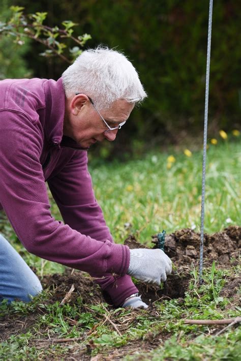 Volunteering Day Von Dreyfus S Hne Cie Ag Banquiers Basler