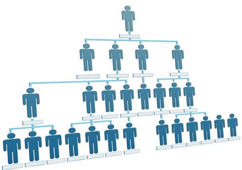 Modern Management Structure Functional Organization Definiti