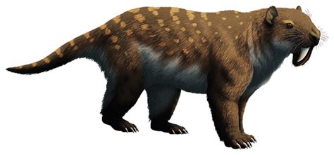 Thylacosmilus Prehistoricpokemon Wiki Fandom