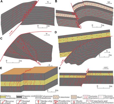 Frontiers Distribution Prediction Of Shale Deformation Structures In