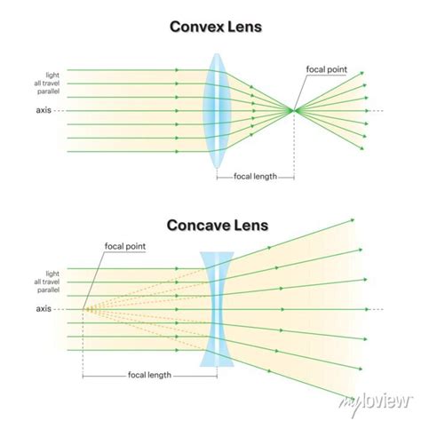 Convex Lens And Concave Lens Diagram Show Ray Diverging And • Wall Stickers Presentation Chart