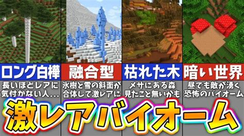 【マイクラ】超低確率！最もレアなバイオームランキングtop17【まいくら・マインクラフト】 Minecraft Summary マイクラ動画