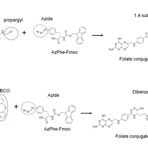 Synthesis Procedure For Peptide Conjugates A N Terminal Peptide Download Scientific Diagram